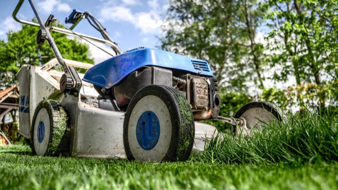 A lawn mower; an essential tool for routine garden maintenance